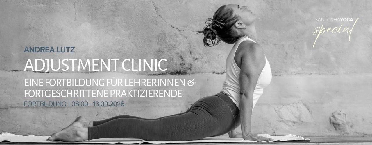 Andrea Lutz adjustment clinic